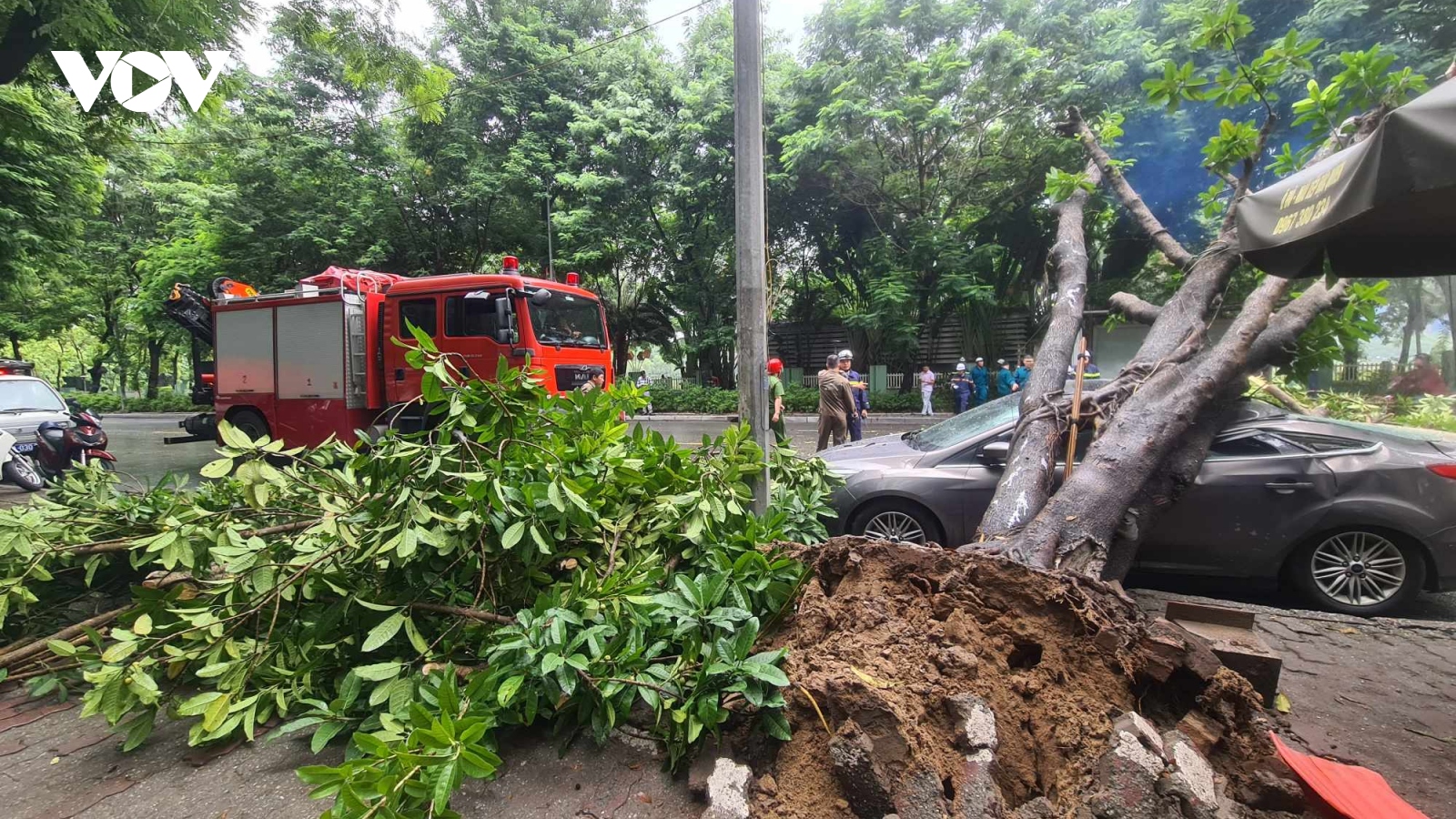 Hà Nội: Cây cổ thụ bật gốc đè ô tô con sập nóc