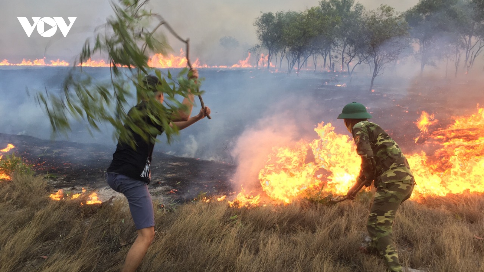 Quảng Trị: Cháy 10 hec ta rừng phòng hộ