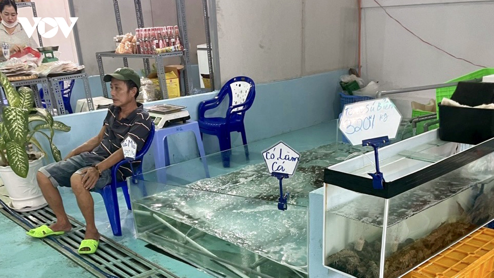 Khách đông nhưng sức mua hải sản ở Bà Rịa - Vũng Tàu rất chậm