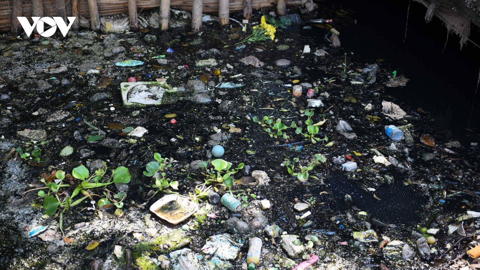 Dân ngoại thành Hà Nội khốn khổ vì nguồn nước ô nhiễm, gây nhiều bệnh tật
