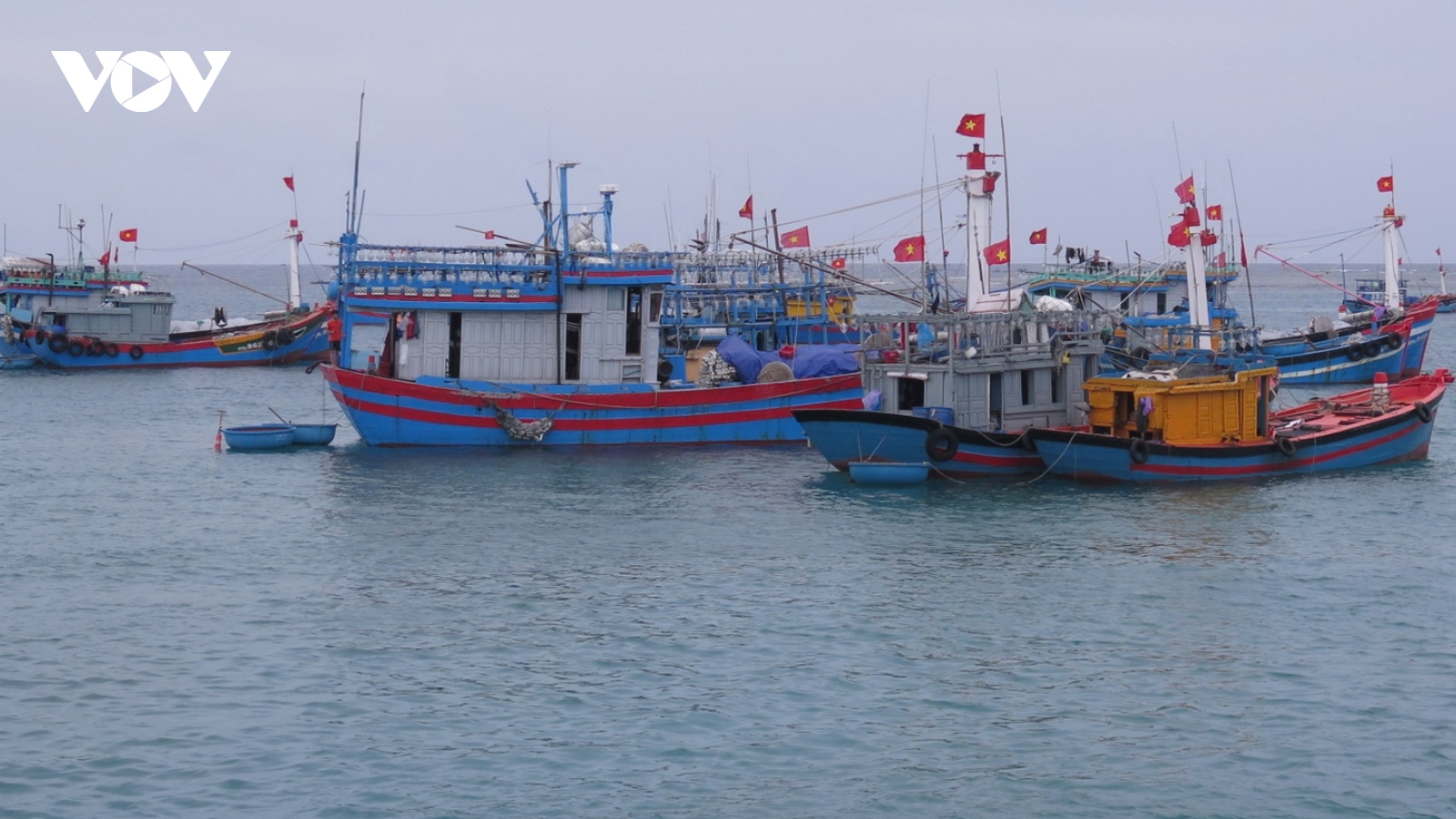 Chủ 2 tàu cá tỉnh Quảng Ngãi bị xử phạt hơn 850 triệu đồng