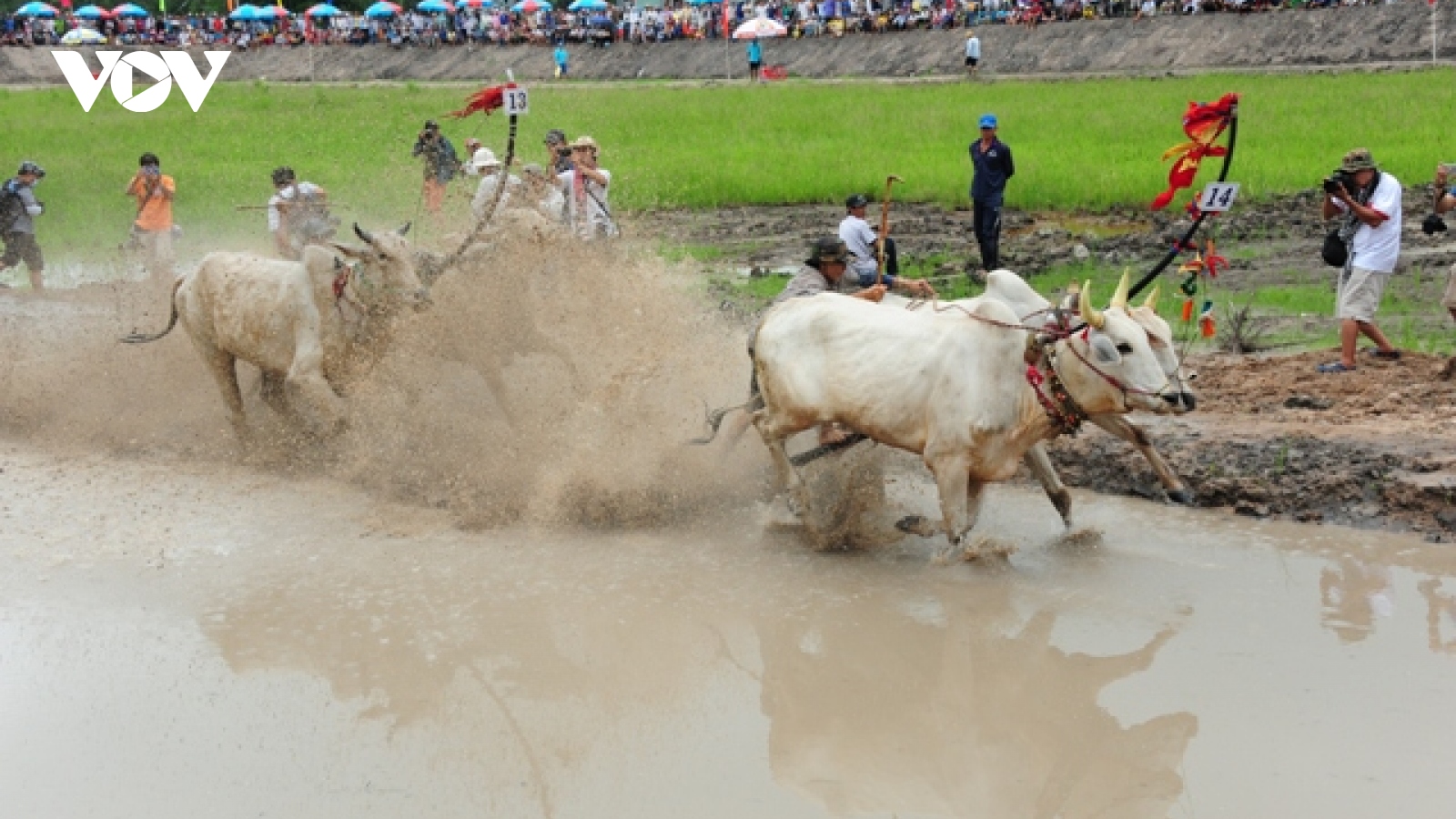 Tổ chức nhiều hoạt động văn hóa, thể thao dịp Senl Đolta của đồng bào Khmer
