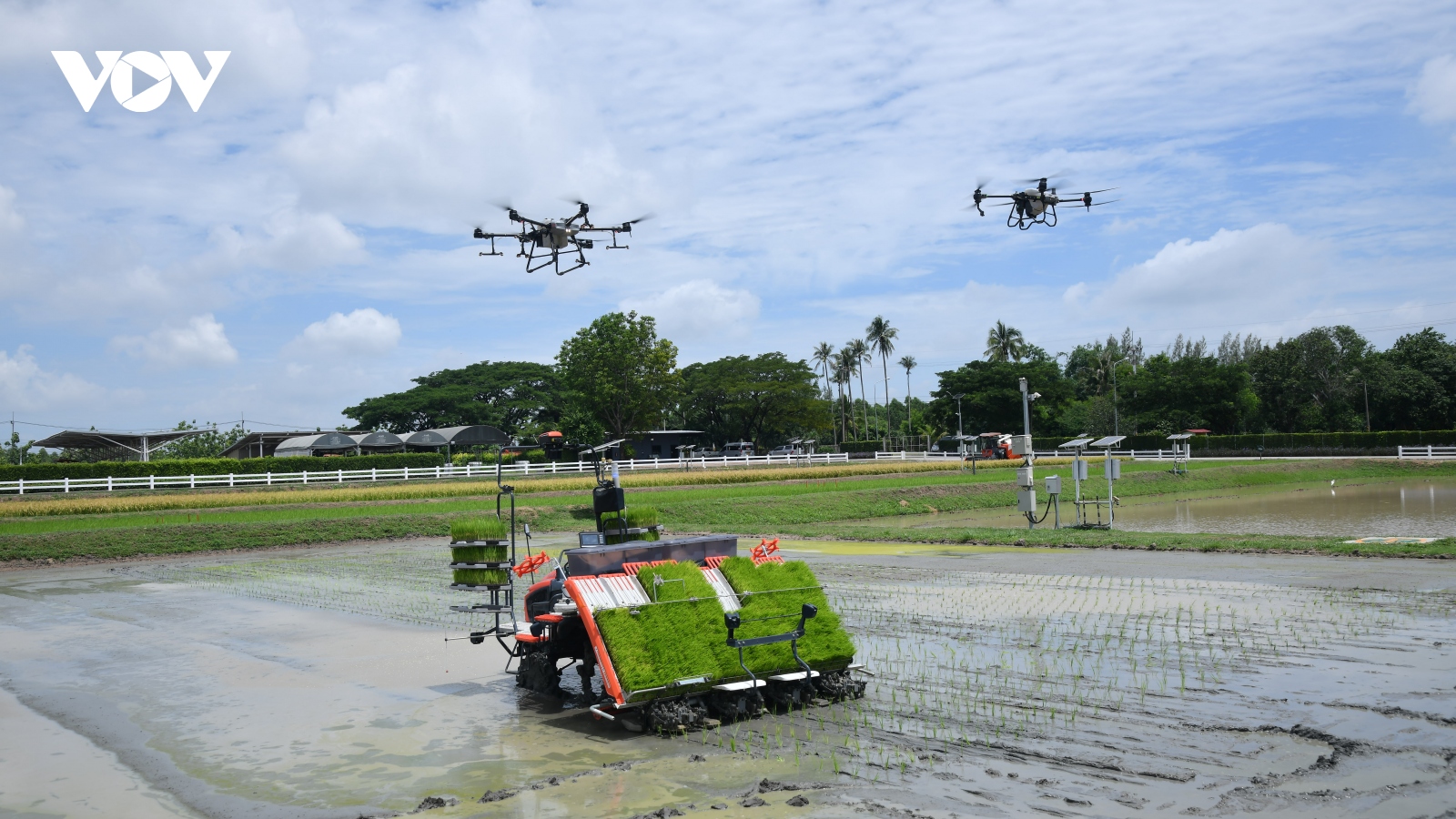 Triển khai máy bay không người lái, hướng đi mới cho nông nghiệp Thái Lan