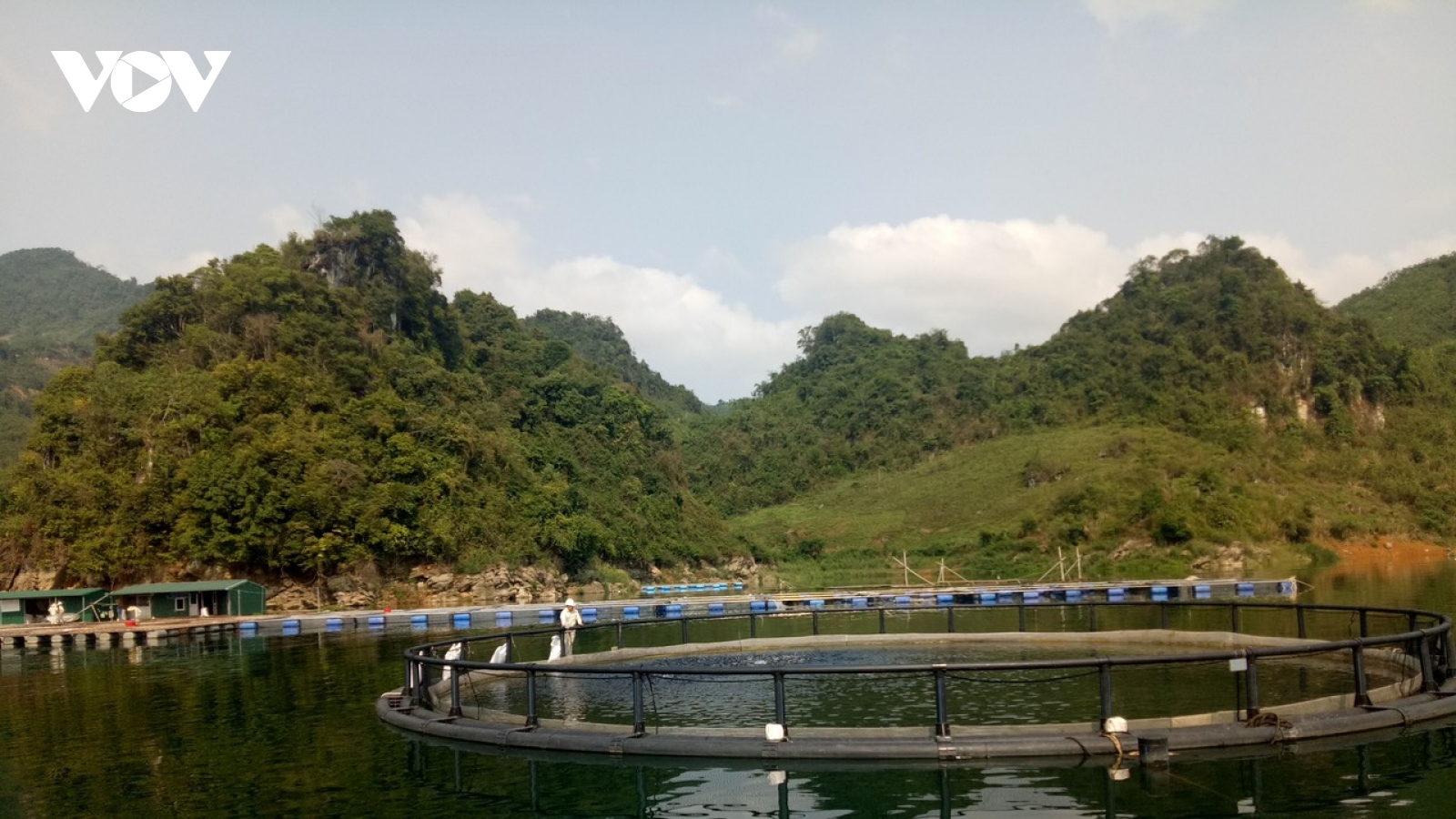 Khai thác tiềm năng kinh tế thủy sản hồ chứa