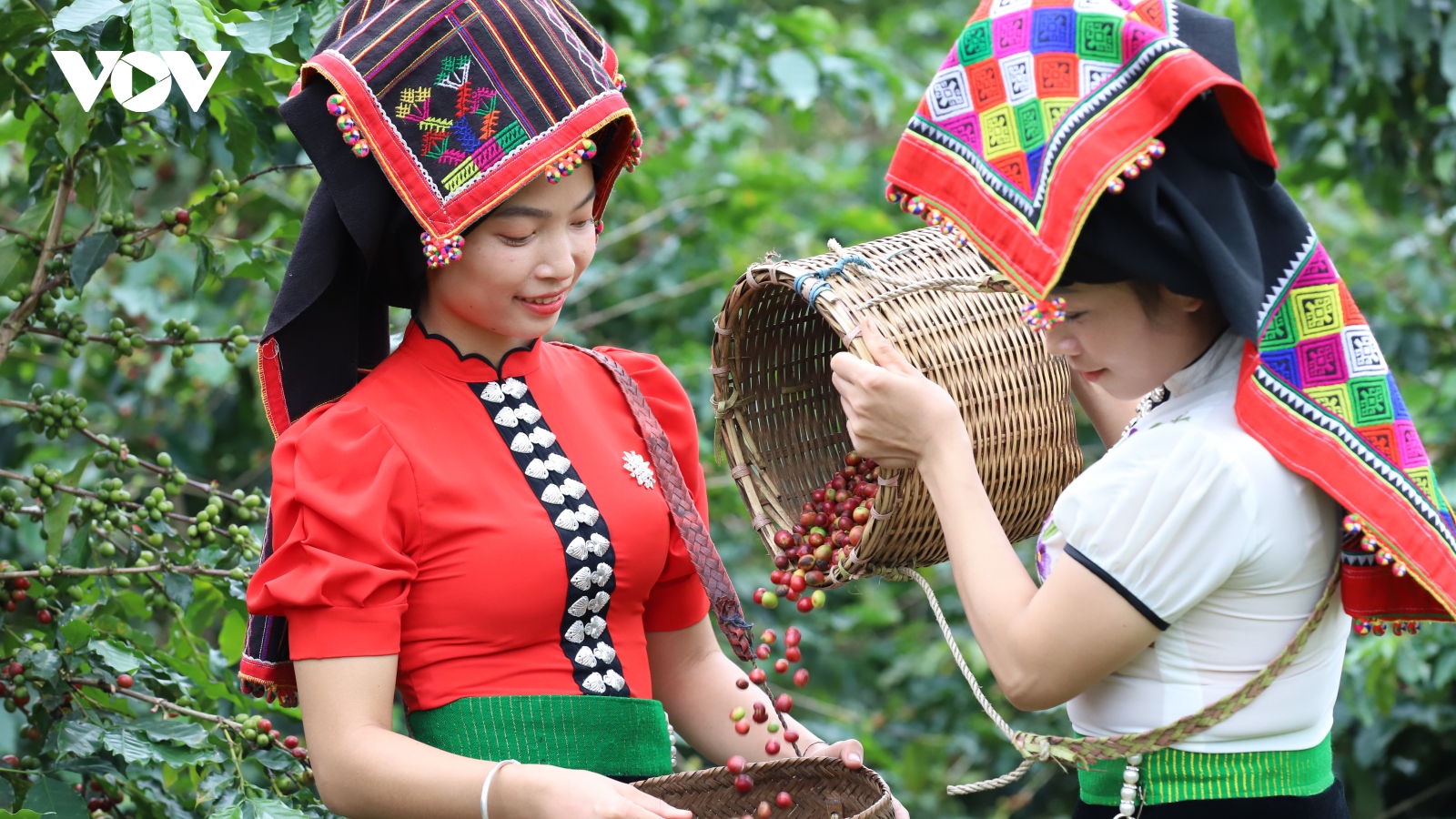 Lễ hội cà phê tỉnh Sơn La - tôn vinh hạt cà phê Việt Nam