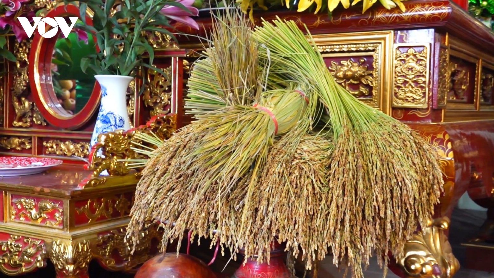 Phát lộc "Hạt vàng đất mẫu" tại đền Đông Cuông