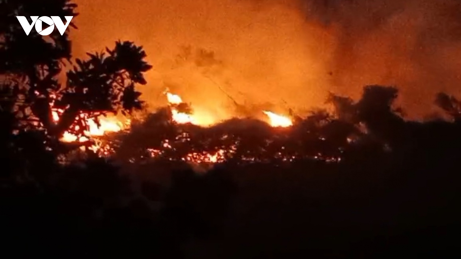 Dập tắt đám cháy 7.000m2 rừng trồng sản xuất ở Yên Bái