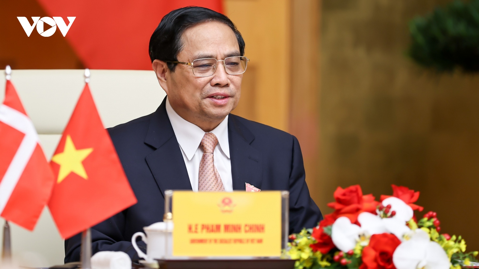 Thủ tướng Việt Nam - Đan Mạch hội đàm trực tuyến, thông qua văn kiện quan trọng