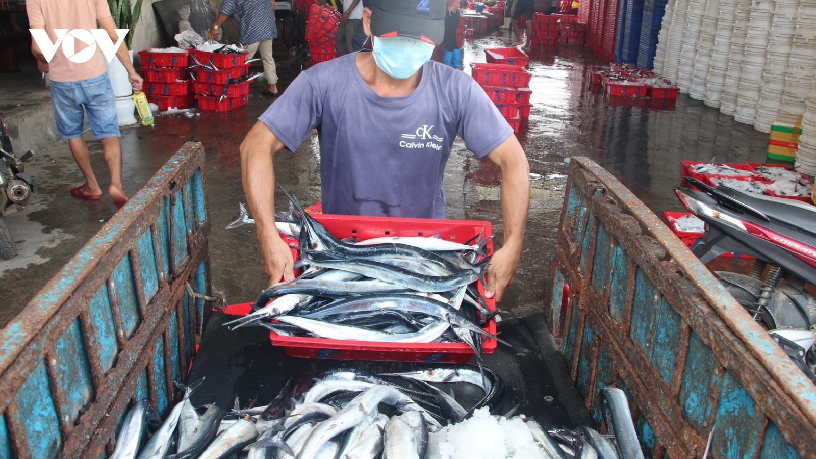Hạn chế đánh bắt có thời hạn để tái tạo nguồn lợi thủy sản