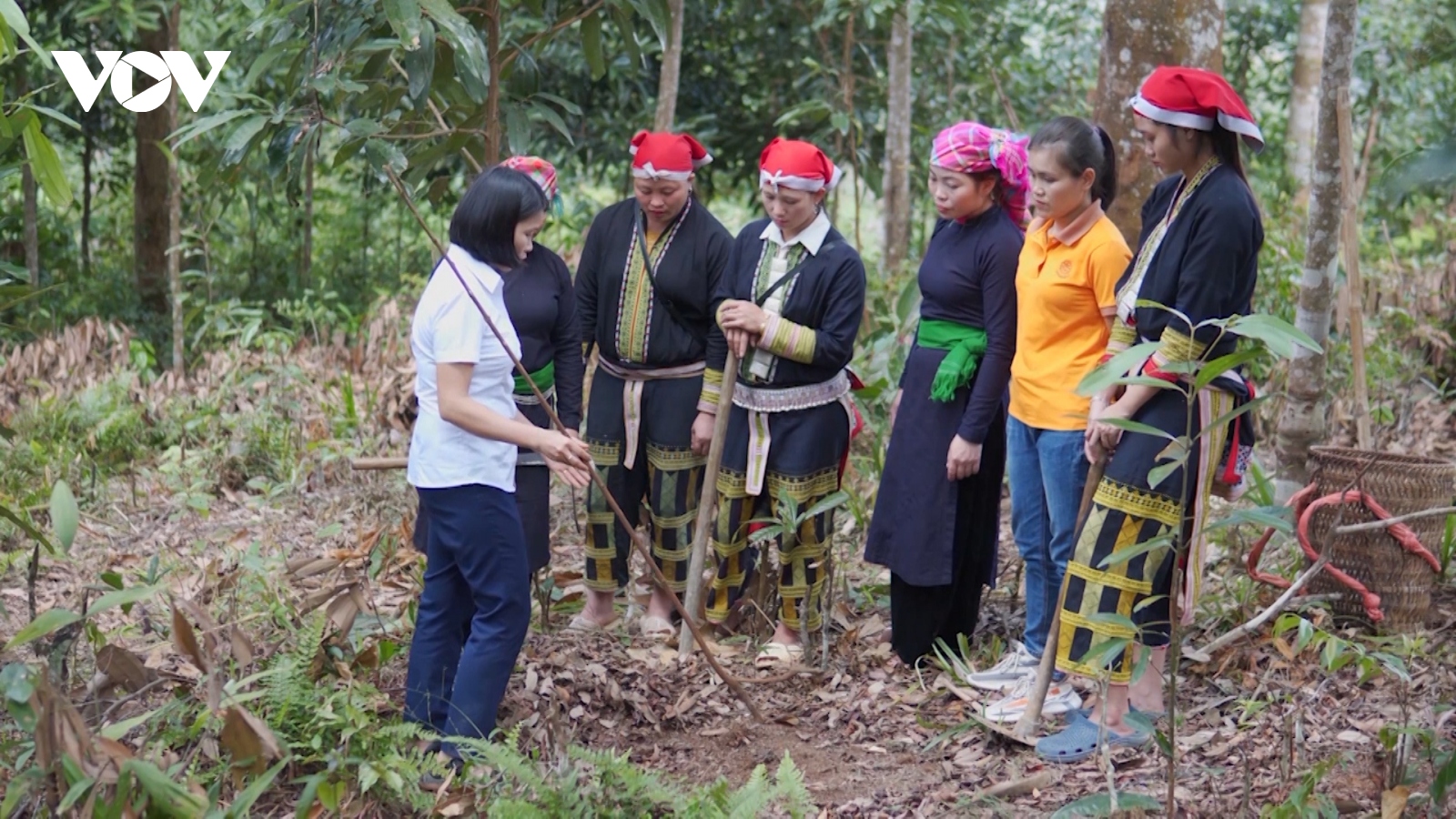 Chương trình MTQG giúp phụ nữ miền núi Yên Bái khởi nghiệp