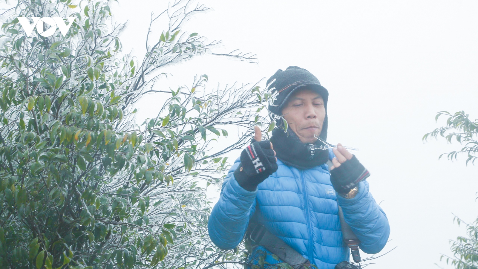 Băng tuyết phủ trên các đỉnh núi cao trên 1.000m tại Quảng Ninh