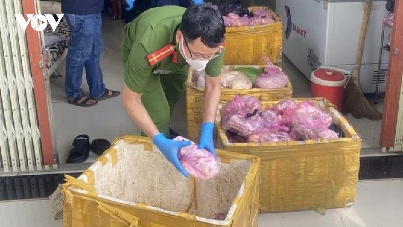 Phát hiện hơn 500 kg thịt heo không rõ nguồn gốc ở Bình Định
