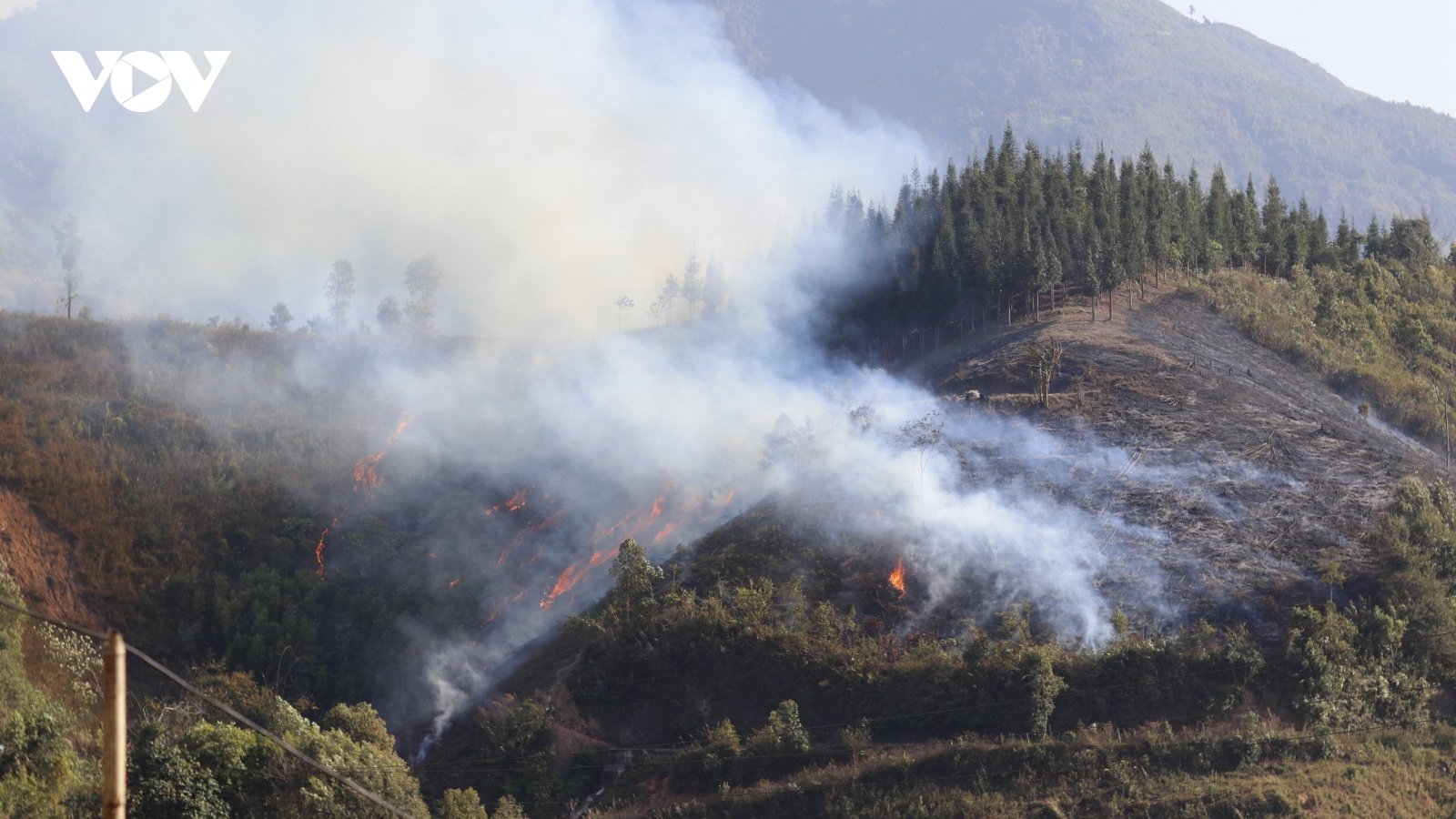 Nhiều diện tích rừng ở Điện Biên cảnh báo cháy rừng cấp 5