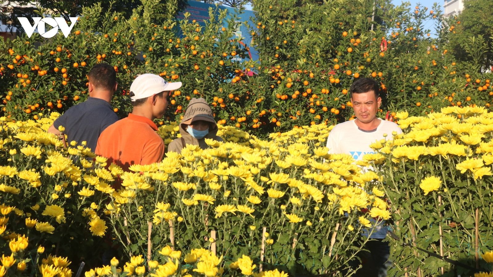 Thị trường hoa Tết ở Đắk Lắk ảm đạm