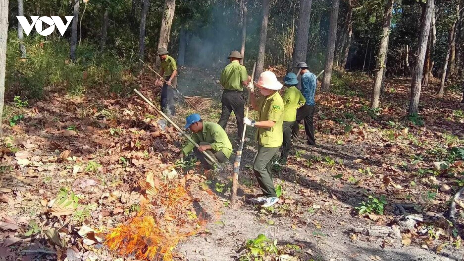 Đắk Lắk chủ động phòng chống cháy rừng cao điểm mùa khô