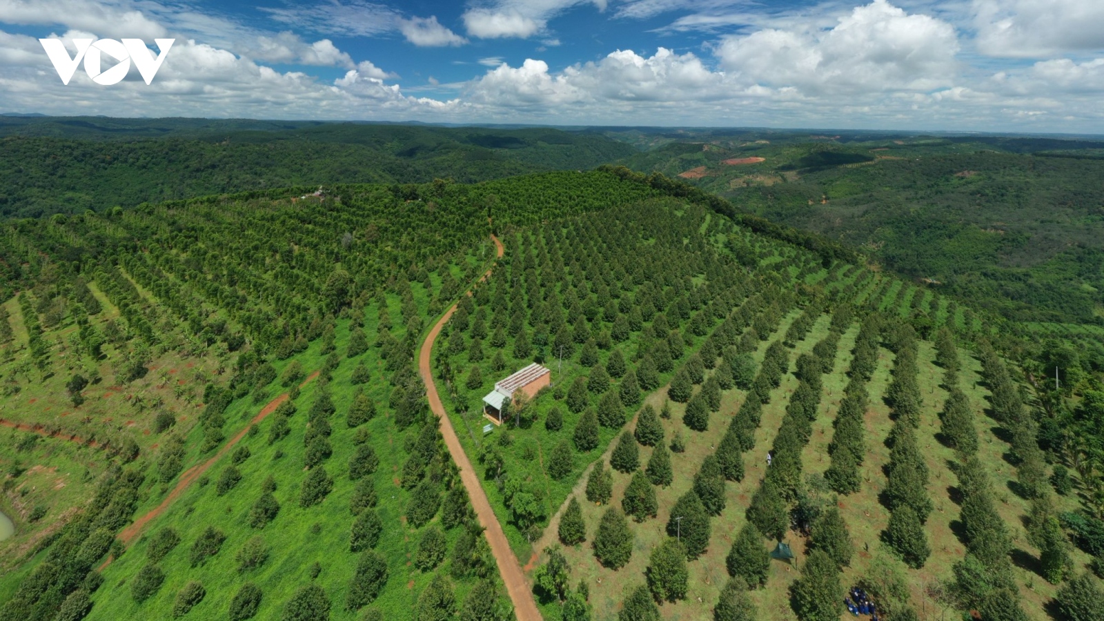 Bước chuyển từ sản xuất nông nghiệp sang kinh tế nông nghiệp ở Đắk Nông