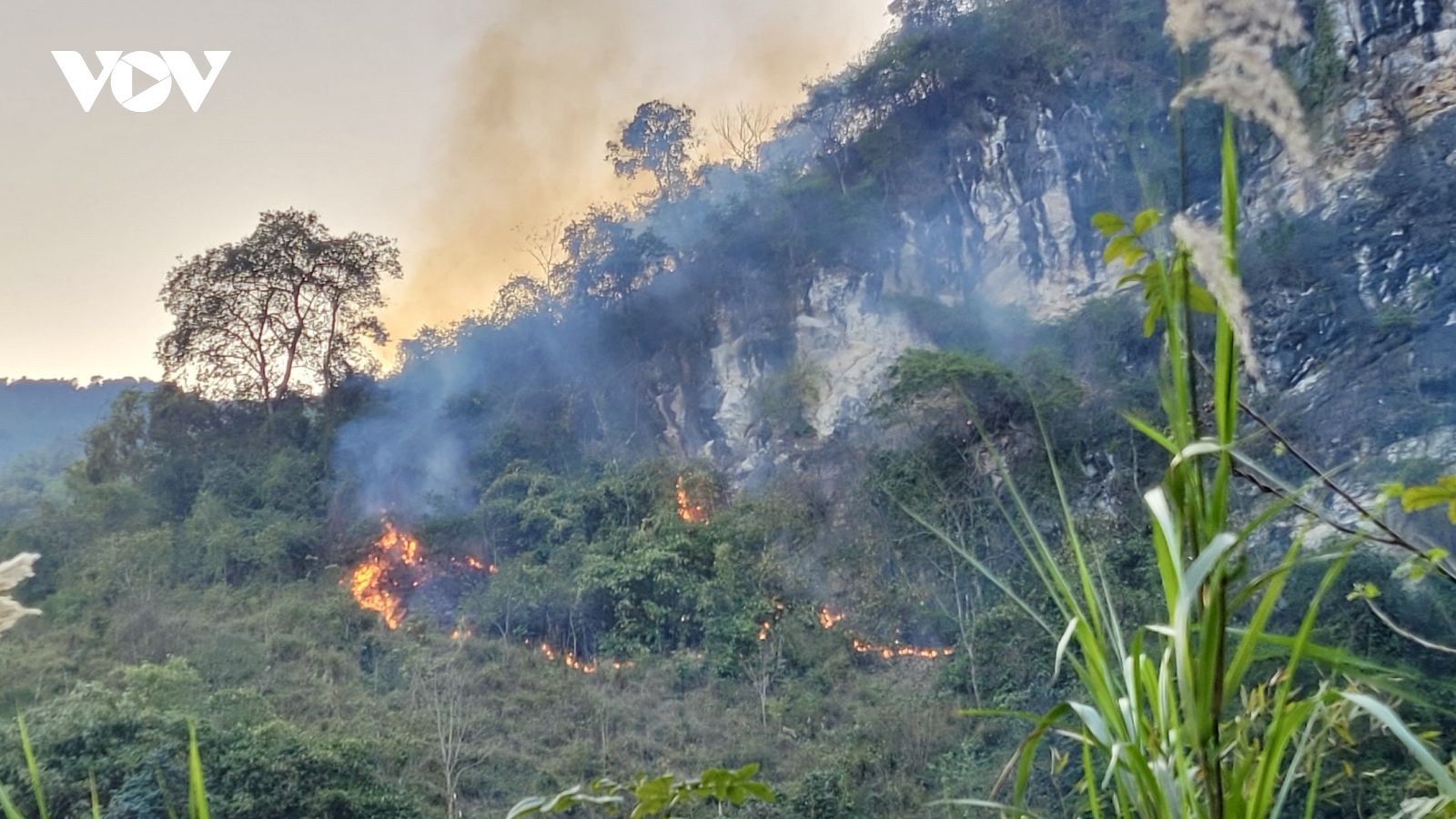 Cao Bằng tăng cường phòng cháy chữa cháy rừng cao điểm mùa khô