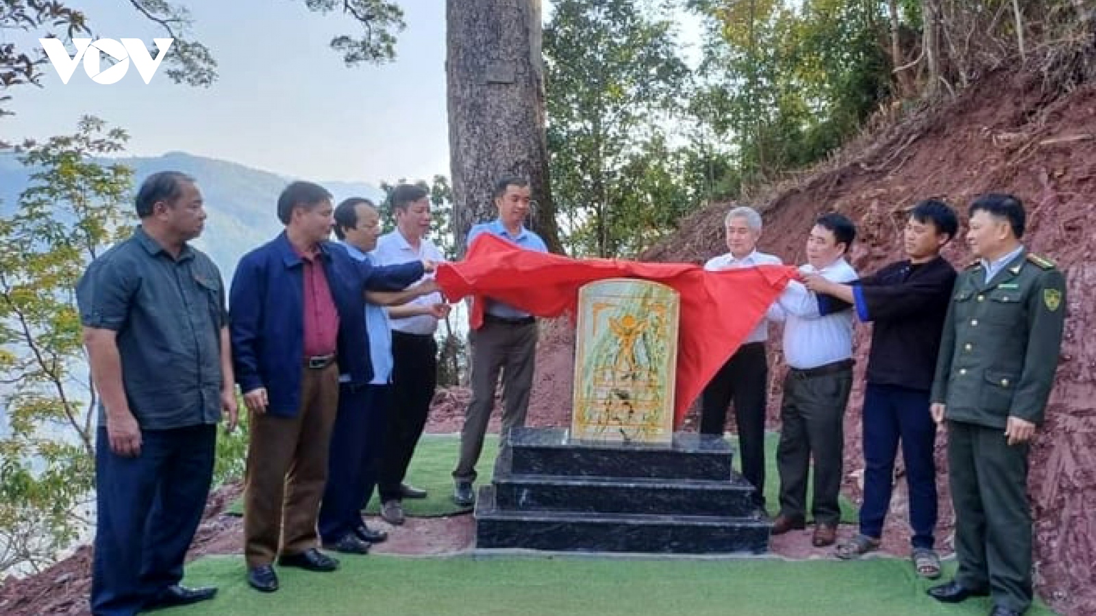 Cây Du sam 500 năm tuổi ở Lai Châu được công nhận là cây di sản Việt Nam