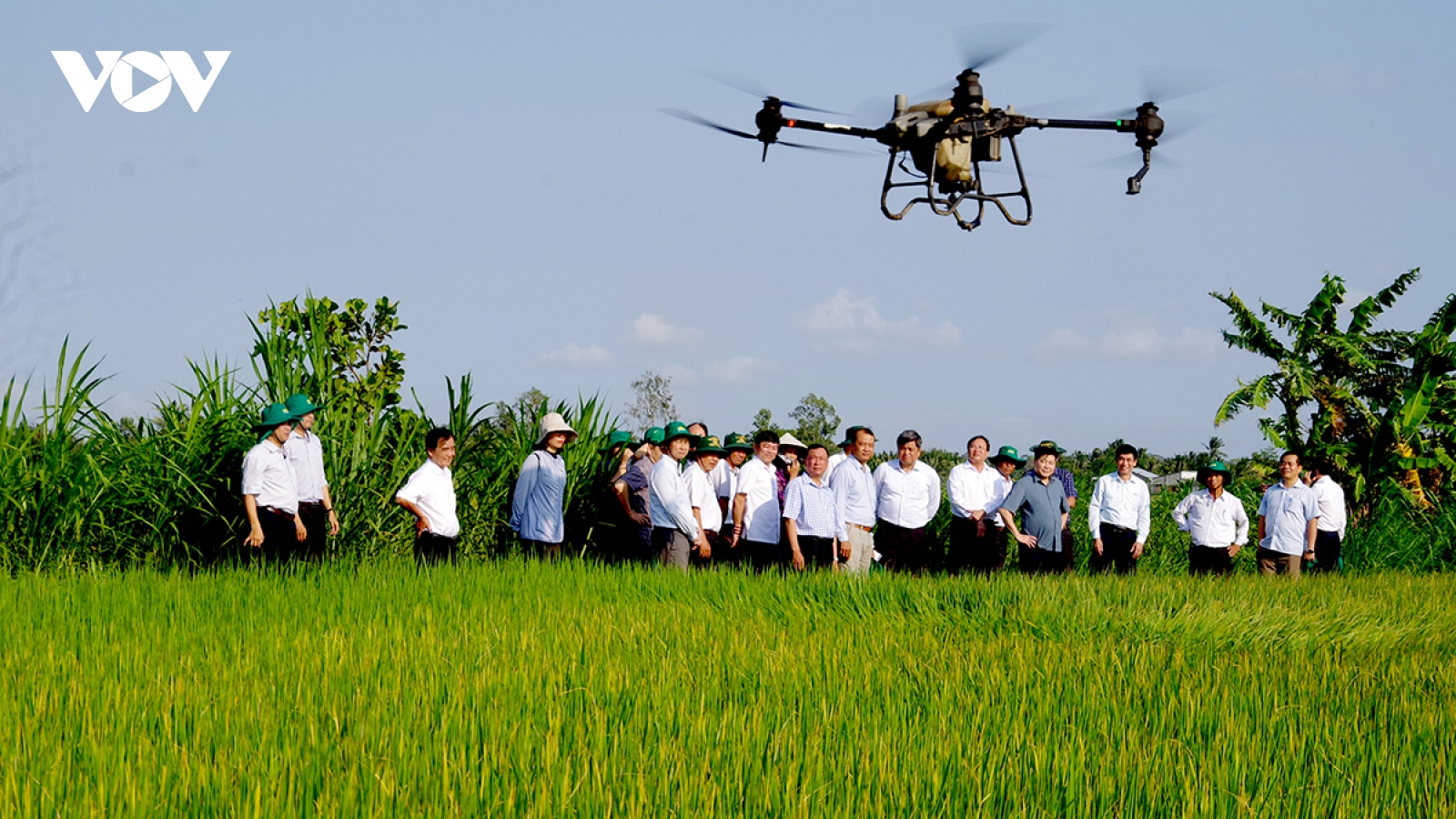 Khuyến nông cộng đồng - nòng cốt trong Đề án 1 triệu ha lúa giảm phát thải