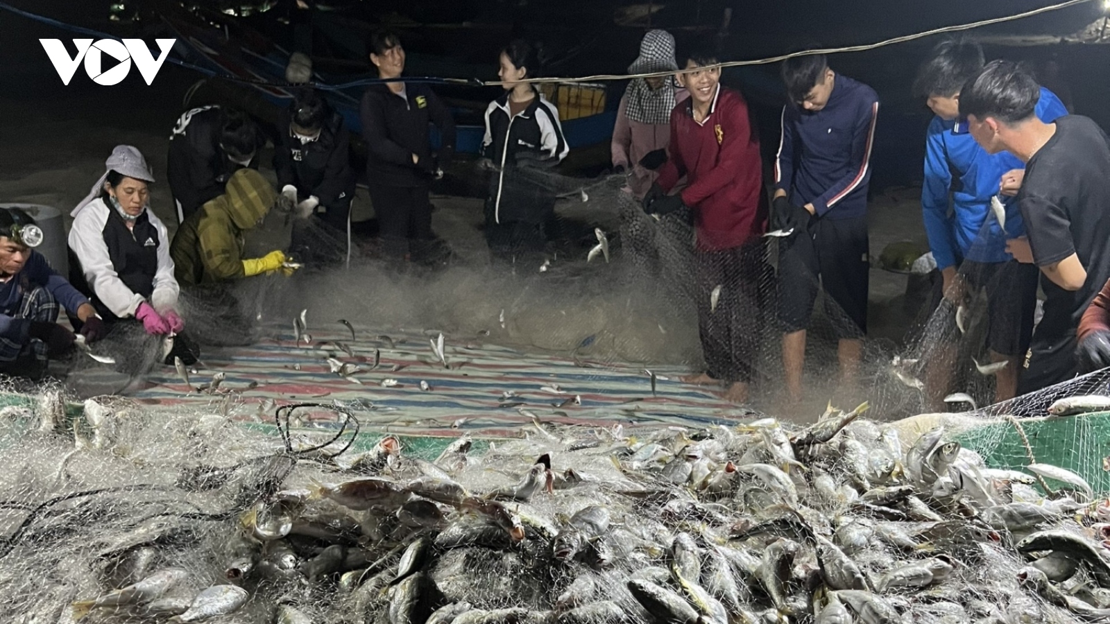 Ngư dân Quảng Bình phấn khởi khi trúng đậm luồng cá đù