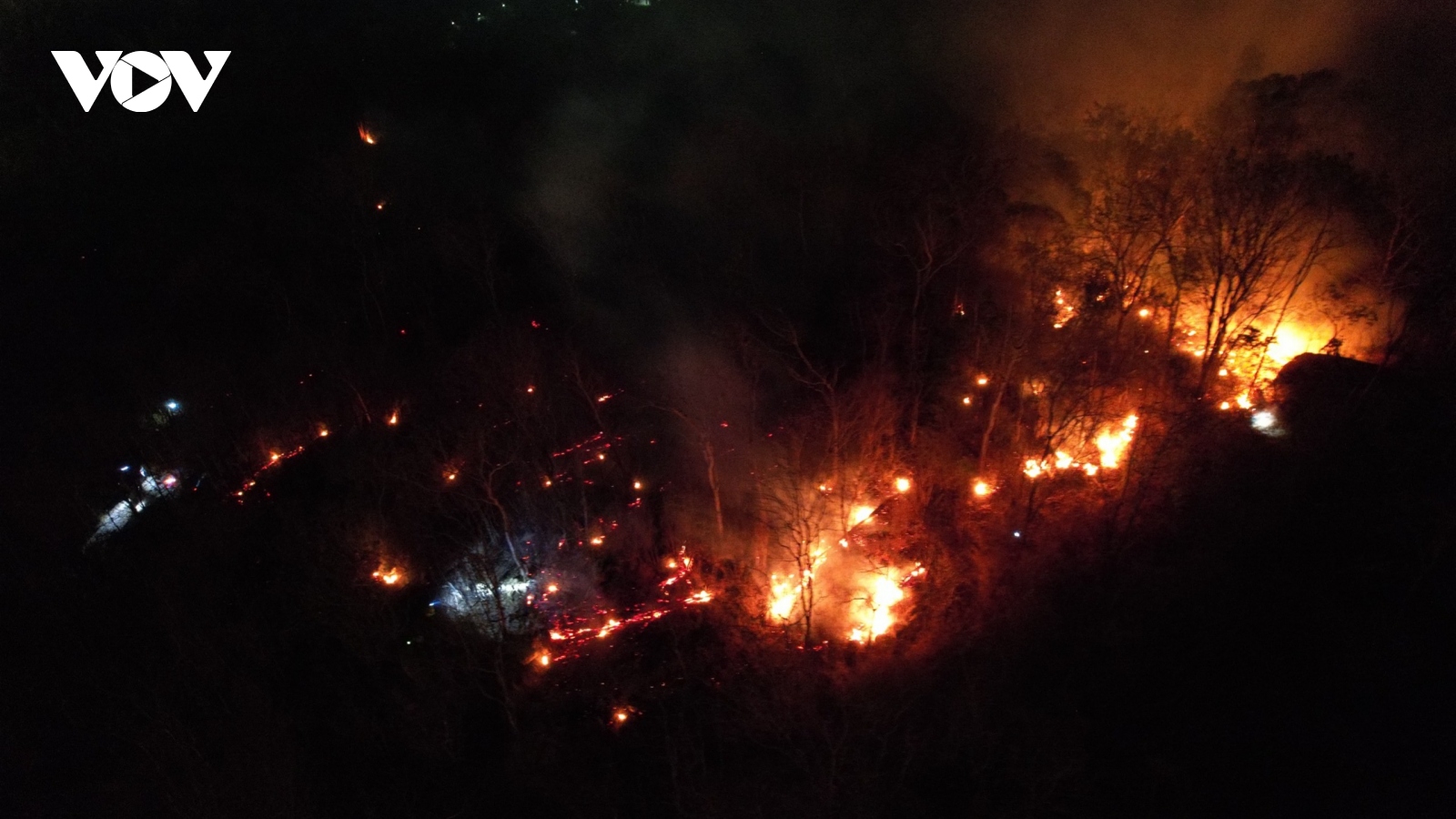 Rừng ở Bà Rịa - Vũng Tàu cháy trở lại sau khi được dập tắt