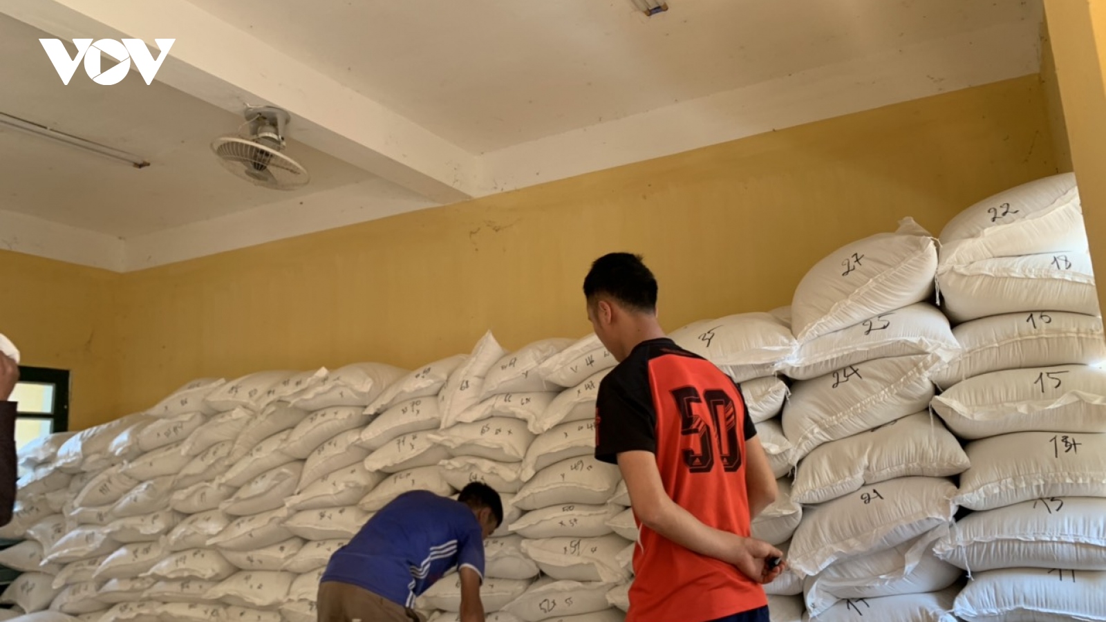 Yên Bái hoàn thành phân bổ hơn 1.900 tấn gạo cho các trường học ở thôn bản