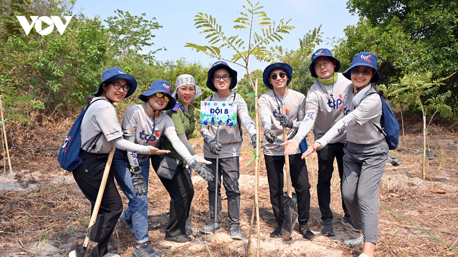 Chung sức trồng 2.700 cây lim tại Bà Rịa - Vũng Tàu