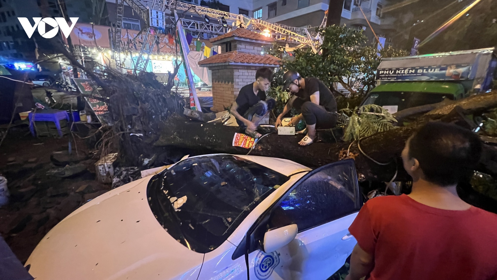Mưa dông tại Hà Nội làm hàng loạt cây đổ đè nát ô tô