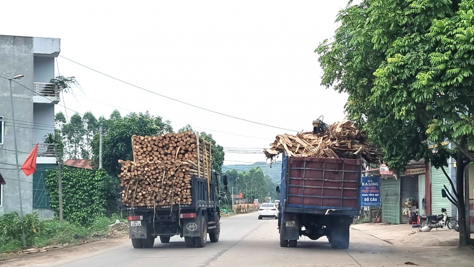 Xử lý hoạt động vận chuyển gỗ gây mất ATGT ở Bắc Giang