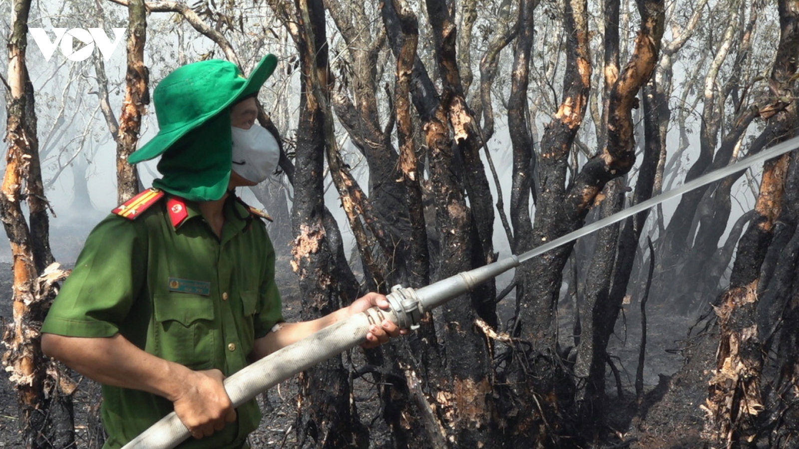 Cháy ở Vườn quốc gia Tràm Chim: Nhận định có người dùng lửa bất cẩn