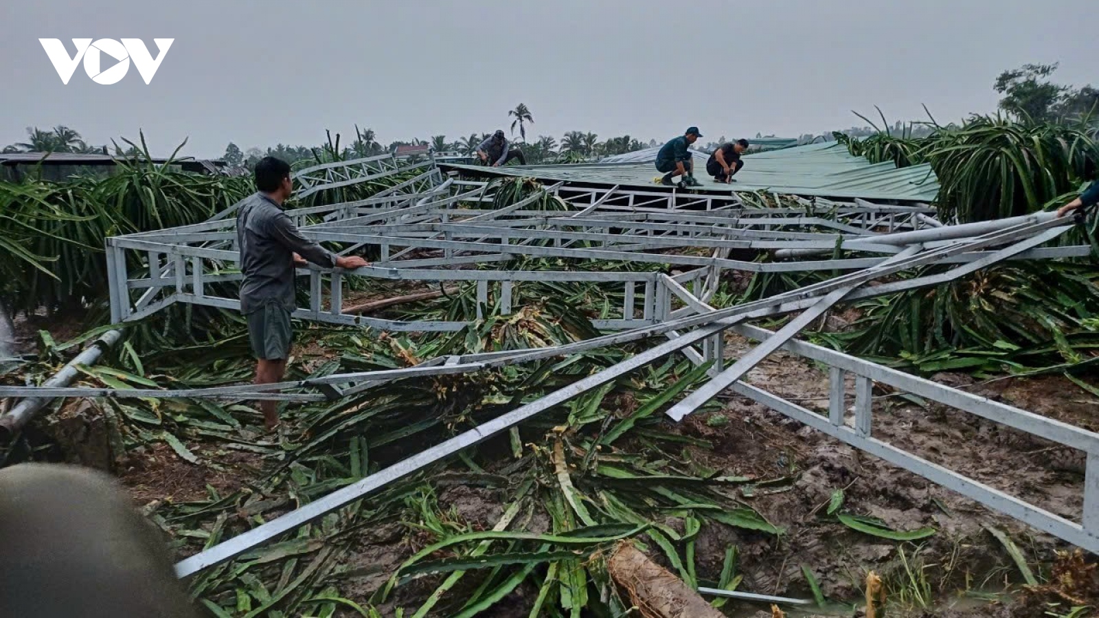 Khắc phục hậu quả do mưa, dông lốc trên địa bàn Cần Thơ, Tiền Giang