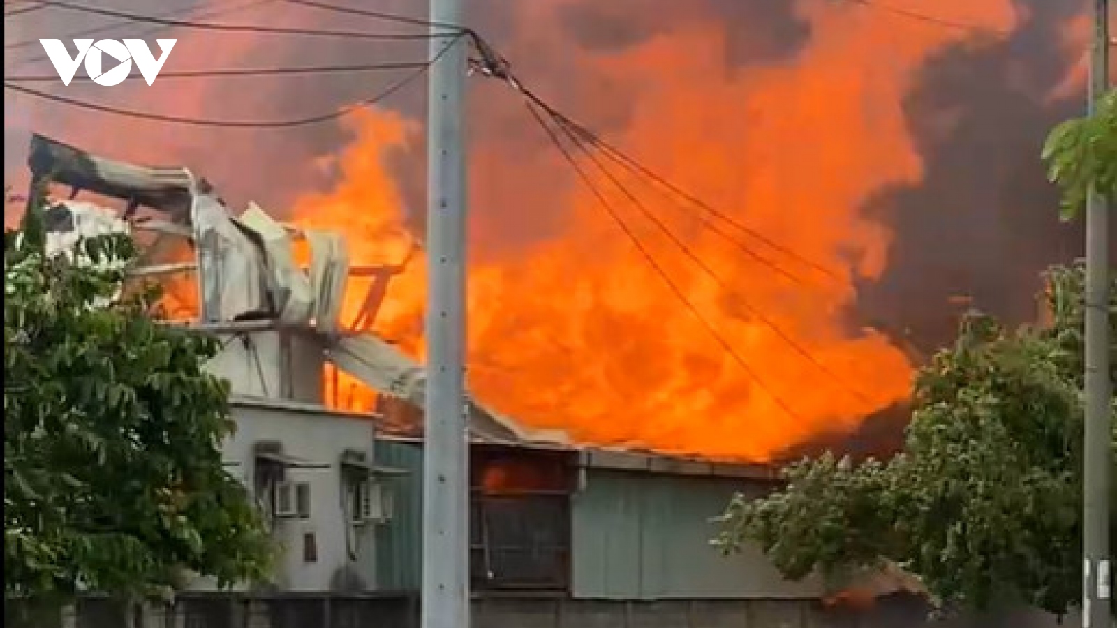 Công ty gỗ ở Bình Dương đang bị đình chỉ hoạt động bất ngờ bốc cháy