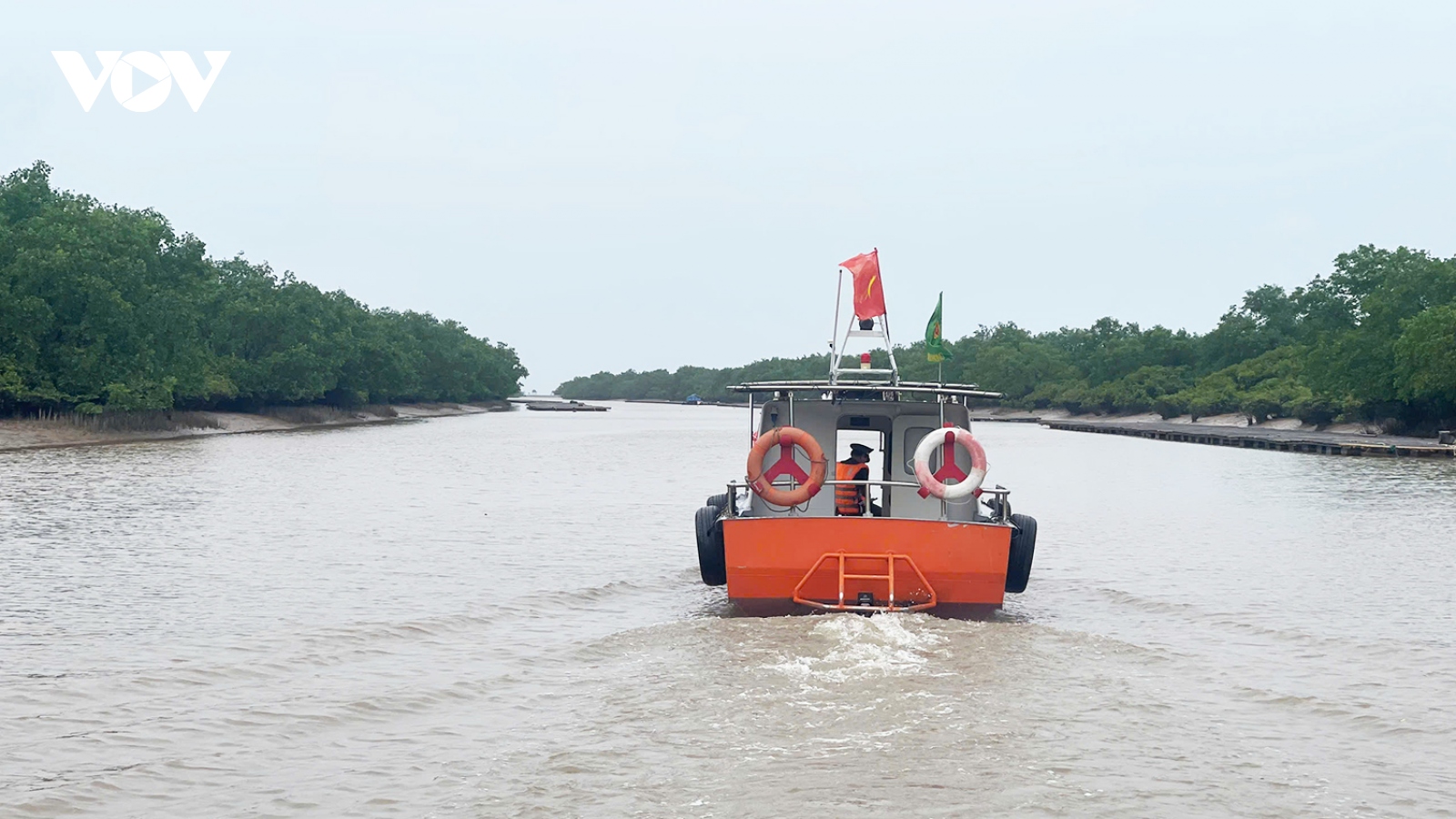 Khu bảo tồn thiên nhiên đất ngập nước Tiền Hải vẫn giữ nguyên diện tích 12.500 ha