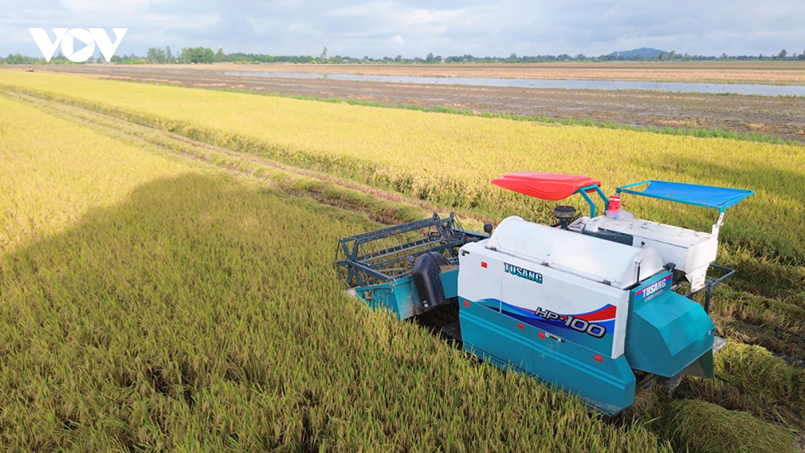 Cần Thơ khuyến khích người dân tham gia vào quy trình canh tác lúa bền vững