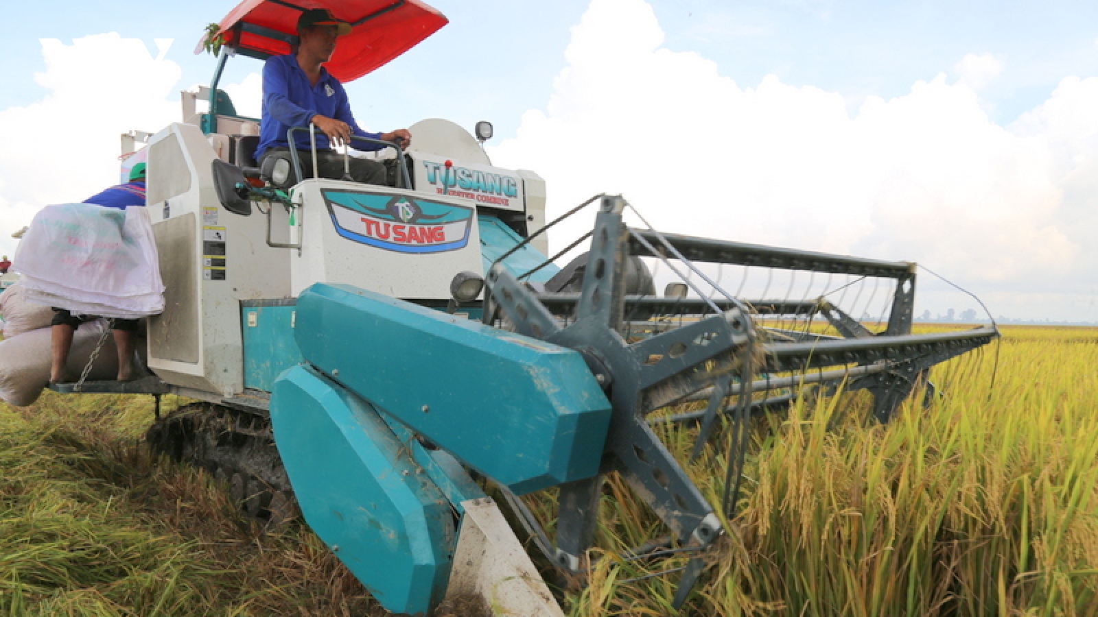 Nông dân Cần Thơ được thưởng tiền khi canh tác lúa giảm phát thải khí nhà kính