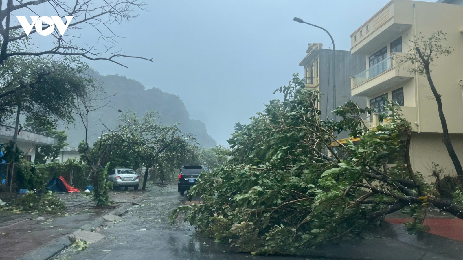 Trực tiếp: Quảng Ninh mất điện trên diện rộng, gió rít từng cơn, cây đổ la liệt