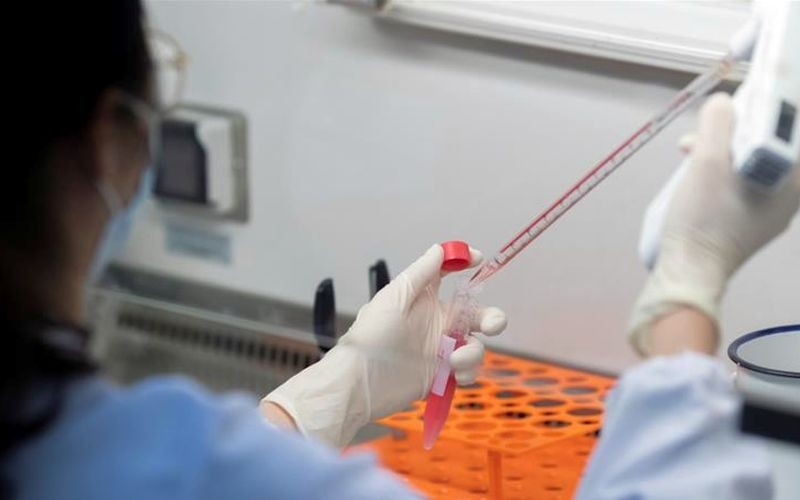 Hơn 200 bệnh nhân Covid-19 ở Vũ Hán được điều trị bằng tế bào gốc