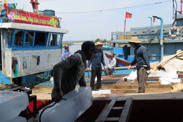 Ngư dân Quảng Ngãi quyết tâm vươn khơi bám ngư trường