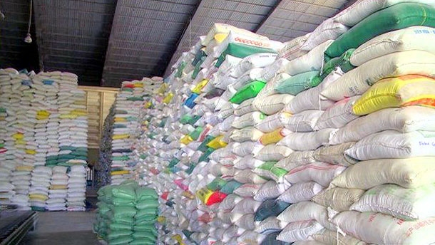 Vì sao Bộ Công Thương chọn điều hành hạn ngạch xuất khẩu gạo?