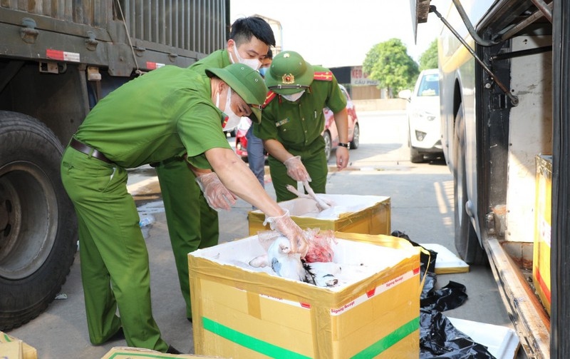 Hà Tĩnh: Bắt giữ xe khách vận chuyển 800 kg thực phẩm bốc mùi hôi thối