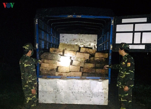 Bắt giữ xe tải vận chuyển 37 phách gỗ trái phép ở Thừa Thiên Huế