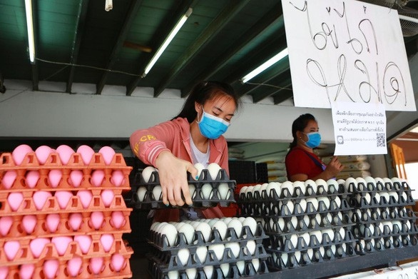Thái Lan cho phép xuất khẩu trứng gà trở lại