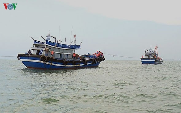 Liên tiếp bắt giữ 4 tàu giã cào khai thác thủy sản trái phép