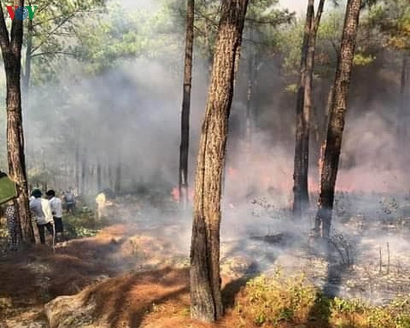 Quảng Bình liên tiếp xảy ra các vụ cháy rừng trong 1 ngày ​