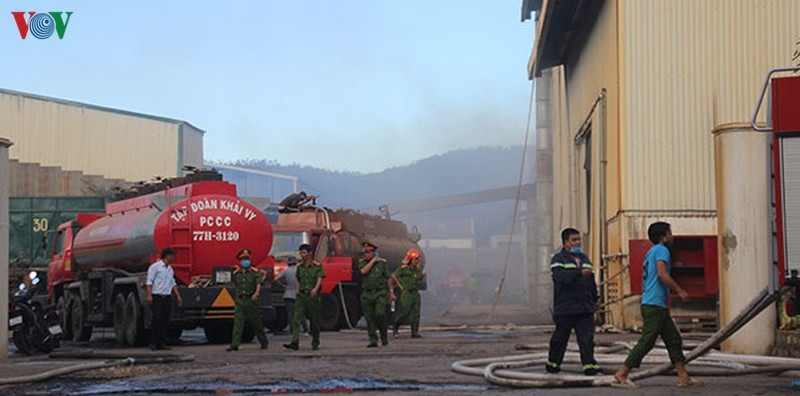 Cháy lớn tại Công ty Nông Trại Xanh ở Bình Định