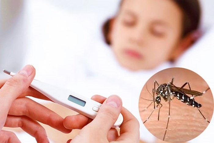 Lào tập trung nguồn lực ngăn chặn bệnh sốt xuất huyết