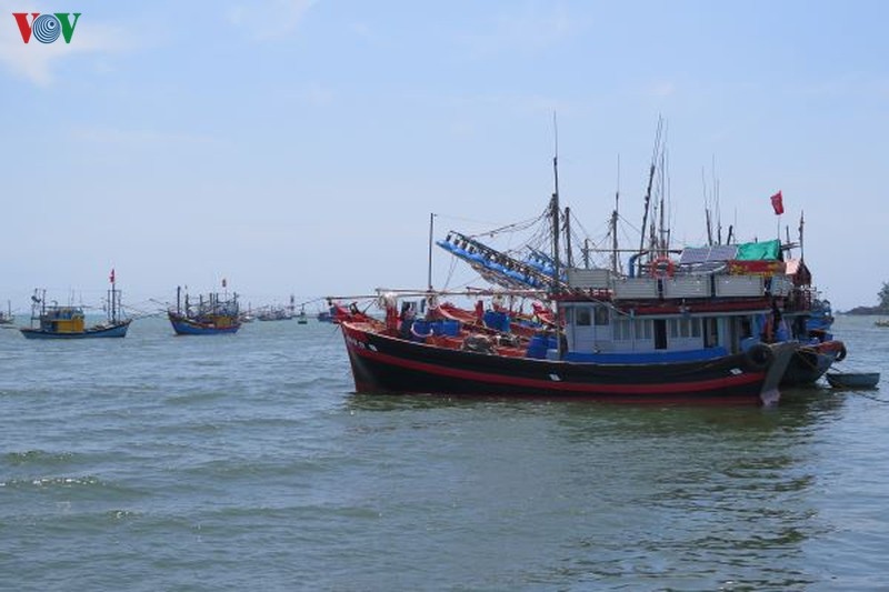 Hơn 2.000 tàu cá ở Quảng Ngãi không đăng ký, đăng kiểm