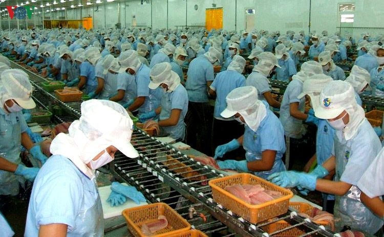 Bất chấp dịch Covid-19, xuất khẩu tôm Việt Nam vẫn tăng 5,7%