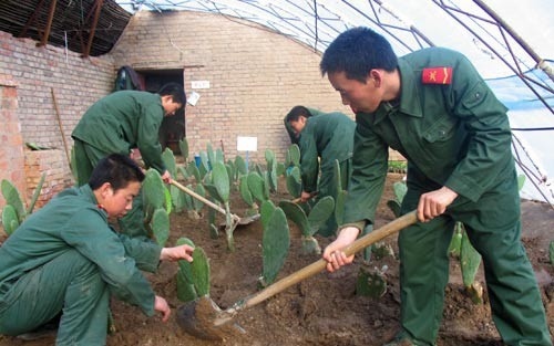 Mỹ trừng phạt thêm đại công ty của Trung Quốc liên quan Tân Cương