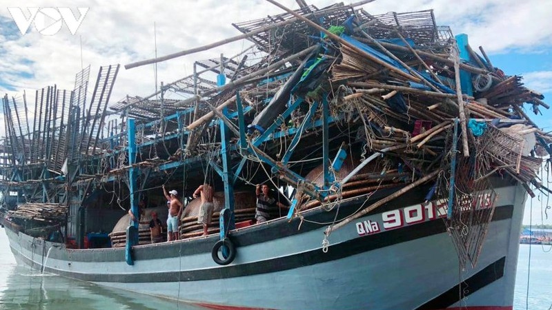 Tàu câu mực của ngư dân Quảng Nam bị đâm trên biển